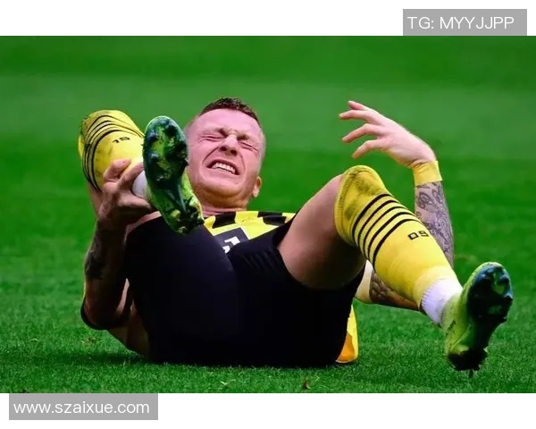 莱比锡红牛与多特蒙德强强对话谁能在德甲赛场笑到最后