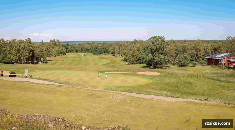 体验lehu乐虎国际